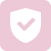 Security Features Icon